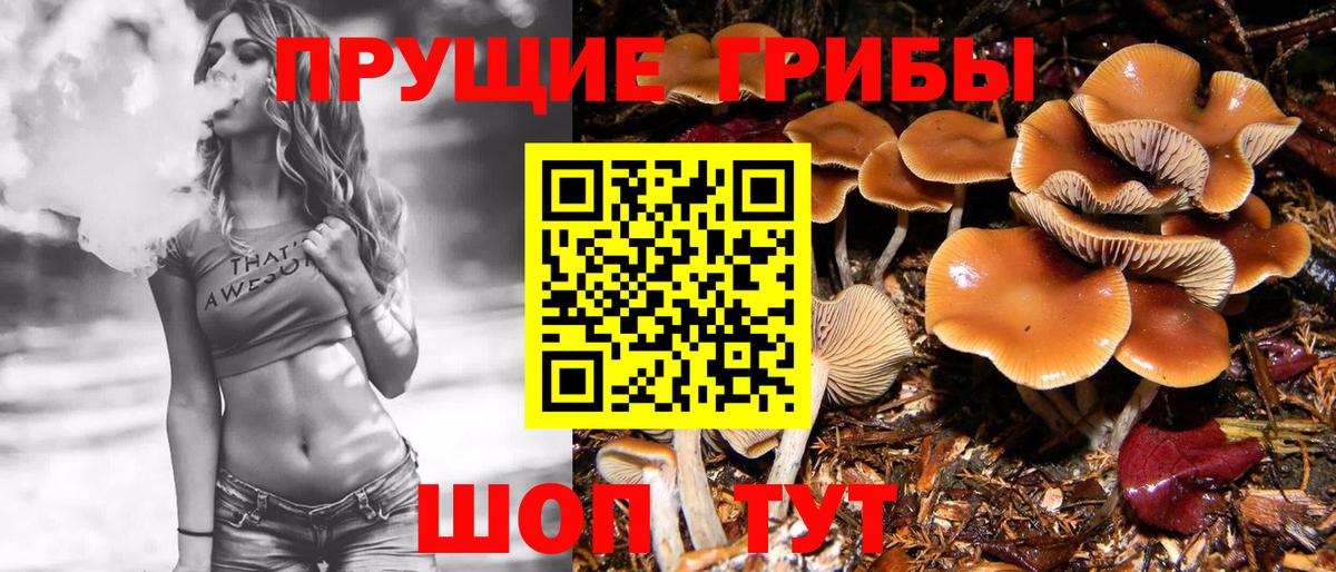 Галлюциногенные грибы мухоморы Аксай
